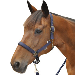Nylon gevoerde halster Canter Nylon gevoerde halster Canter