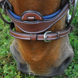 Bridon Flags & Cup Paris combiné Marron / marine Bridon Flags & Cup Paris combiné Marron / marine