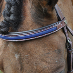 Bridon Flags & Cup Paris combiné Marron / marine Bridon Flags & Cup Paris combiné Marron / marine