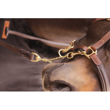 Longe présentation 2m25 Paddock Sports Marron