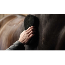 Lami-Cell Shine-spons scrubber Zwart