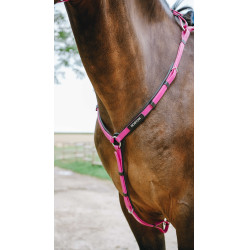 Collier de chasse Endurance Norton Pop Rose