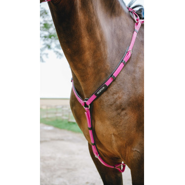 Collier de chasse Endurance Norton Pop Rose