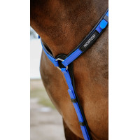 Collier de chasse Endurance Norton Pop Rose