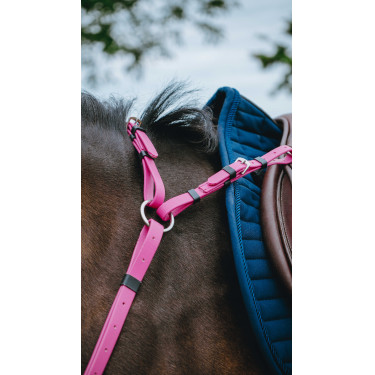 Collier de chasse Endurance Norton Pop Rose