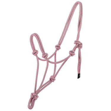Licol éthologique Norton Glim Rose / argent