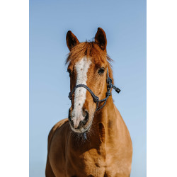 Ethologisch halster Norton Glim Marine / zilver Blauw
