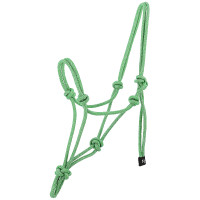 Ethologisch halster Norton Glim Lichtgroen / zilver