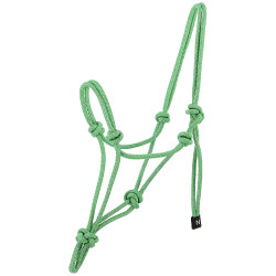 Licol éthologique Norton Glim Vert clair / argent