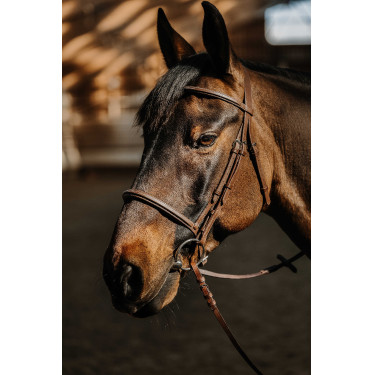 Bridon Norton Hunter zacht Bruin