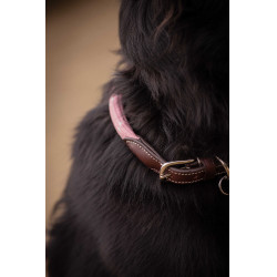 Hondenhalsband Penelope Billie Roze / lurex