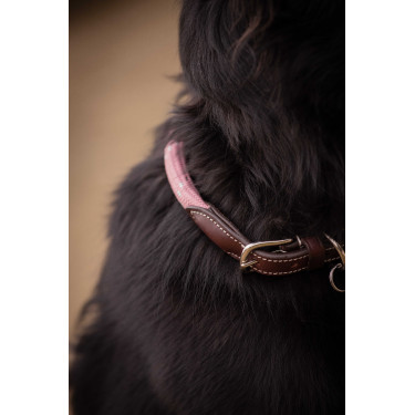 Hondenhalsband Penelope Billie Roze / lurex