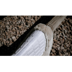 Amortisseur Equithème Combo Master Blanc Amortisseur Equithème Combo Master Blanc