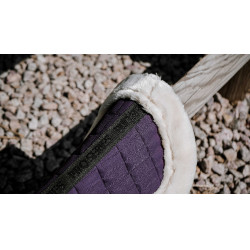 Schokdemper Equithème Combo Master Pruim Violet Schokdemper Equithème Combo Master Pruim Violet