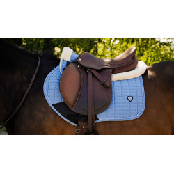 Tapis Pro Series Combo master Bleu Tapis Pro Series Combo master Bleu