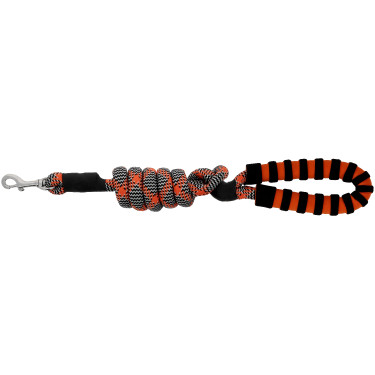 Laisse pour chien avec poignée Equithème Haspen Noir / poignée orange
