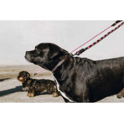 Hondenriem met handvat Equithème Haspen Zwart / frambozenhandvat