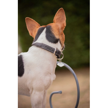 Halsband voor hond Pénélope Olie Zwart