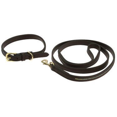 Collier et laisse pour chien Equithème Max Marron