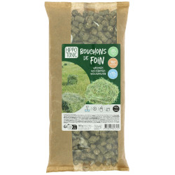 HIPPOTONIC hooinetten