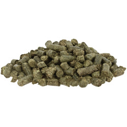 HIPPOTONIC hooinetten