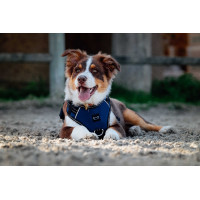 Hondenharnas RIDING WORLD - Simba Marine Marineblauw