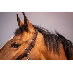 Licol Pénélope Harmonie Marron