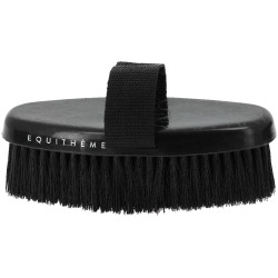 Brosse douce Equithème Studies Noir