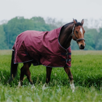 Couverture Equithème TYREX 1200D High Neck Bordeaux