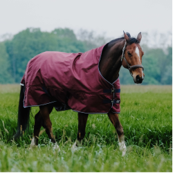 Couverture Equithème TYREX 1200D High Neck Bordeaux Couverture Equithème TYREX 1200D High Neck Bordeaux