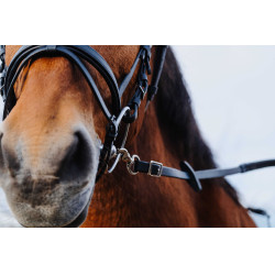 Rubberen teugels Norton Training PVC Zwart