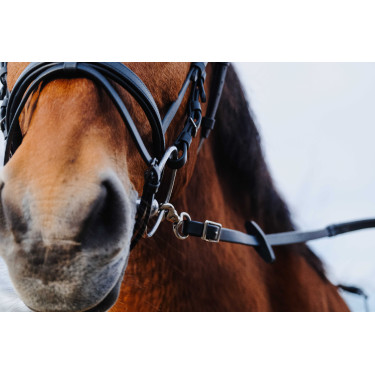 Rubberen teugels Norton Training PVC Zwart