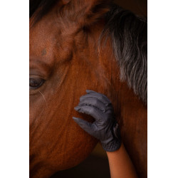 Handschoenen Eden by Pénélope Prisma Strass Marine Marineblauw Handschoenen Eden by Pénélope Prisma Strass Marine Marineblauw