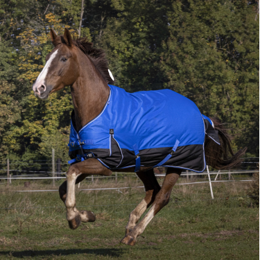 Equithème Tyrex Aisance 1200D deken Koningsblauw