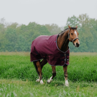 Equithème Tyrex 1200D deken Bordeaux