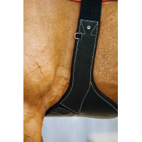 Magnetische singel Norton