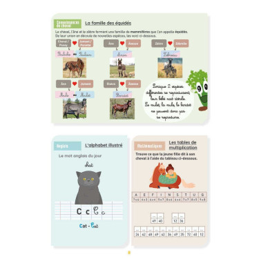 Mon Cahier d'Activités Niveau CM2 Lavauzelle