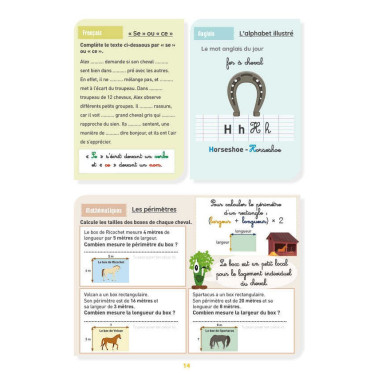 Mon Cahier d'Activités Niveau CM2 Lavauzelle
