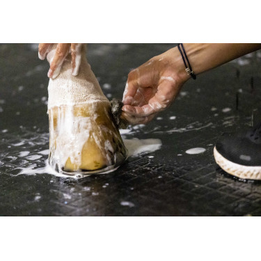 Shampoing Lucy diamonds Kevin Bacon's