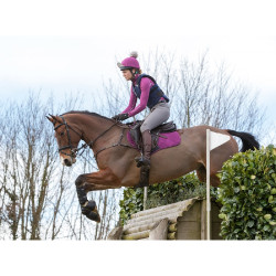 Technisch ondergoed My LeMieux Pruim / grijs Violet