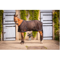 Chemise Mesh Paddock Sports