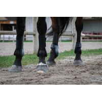 Gamaschen Riding World Zwart