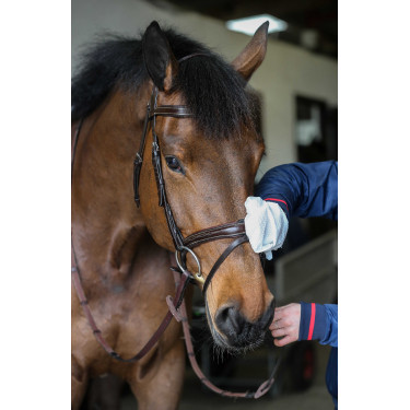 Reinigingshandschoenen Belvoir® Carr & Day & Martin Tack Cleaner Wit