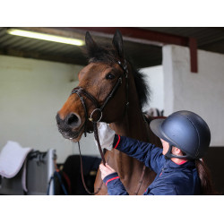 Reinigingshandschoenen Belvoir® Carr & Day & Martin Tack Cleaner Wit