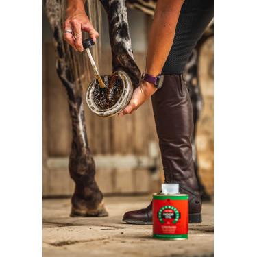 Óleo para cascos Carr & Day & Martin Árvore-do-chá