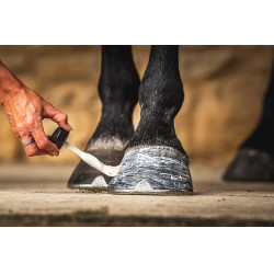 Hoefolie Carr & Day & Martin Daily Hoof Moisturiser Cornucrescine