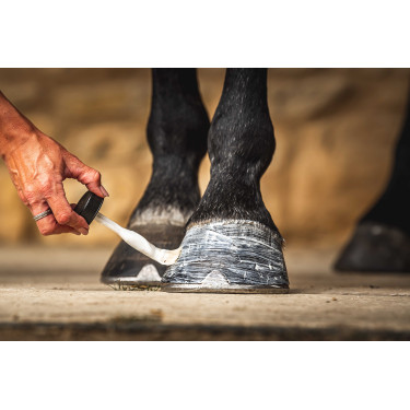 Hoefolie Carr & Day & Martin Daily Hoof Moisturiser Cornucrescine