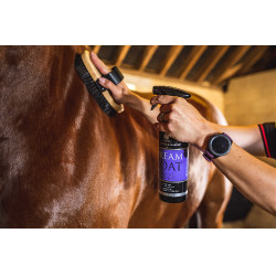 Lustrerend Carr & Day & Martin Dreamcoat