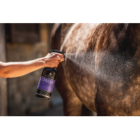 Lustrerend Carr & Day & Martin Dreamcoat