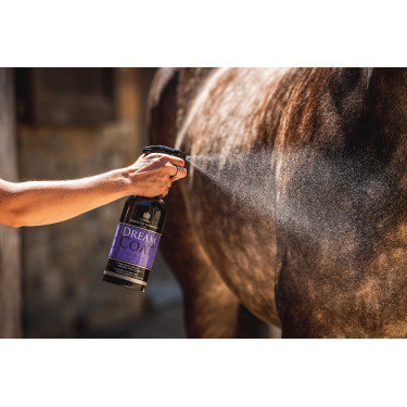 Lustrerend Carr & Day & Martin Dreamcoat